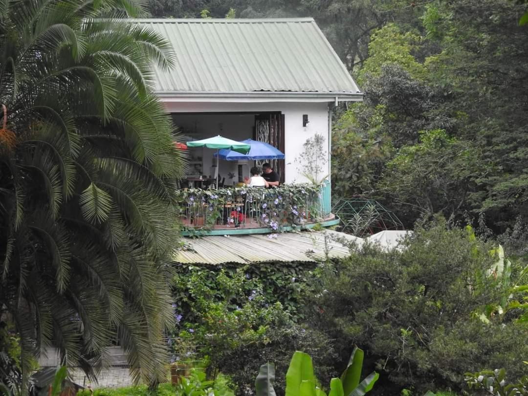 Quiminza - Garden Apartment San Antonio del Tequendama