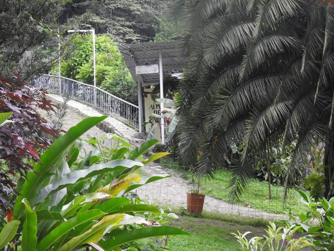 Apartment Quiminza - Garden San Antonio del Tequendama