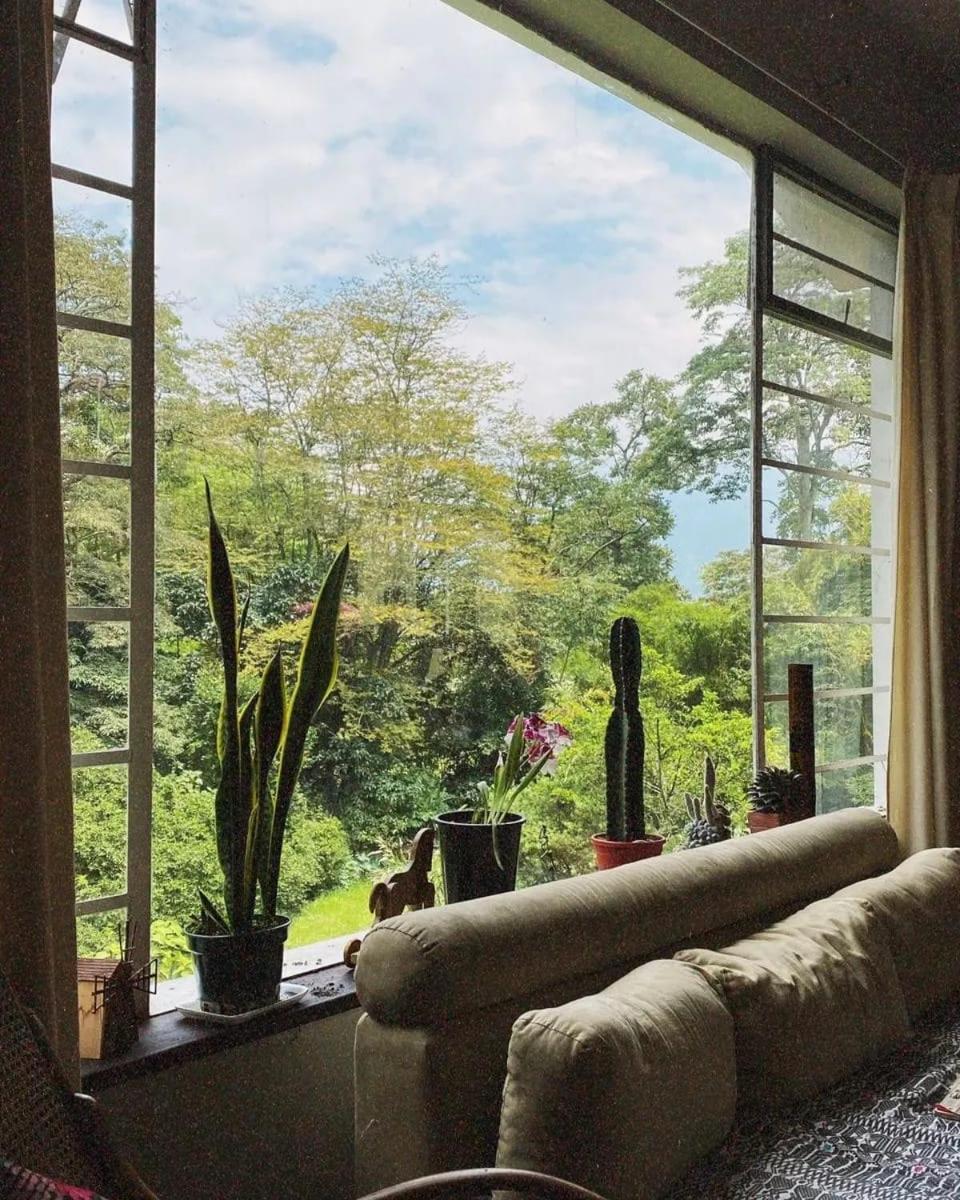 Apartment Quiminza - Garden