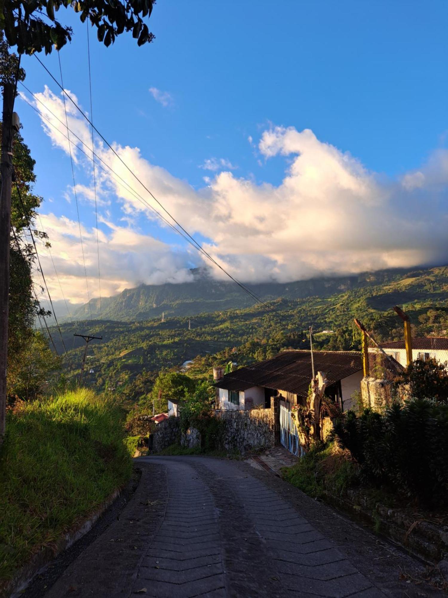 Quiminza - Garden * San Antonio del Tequendama
