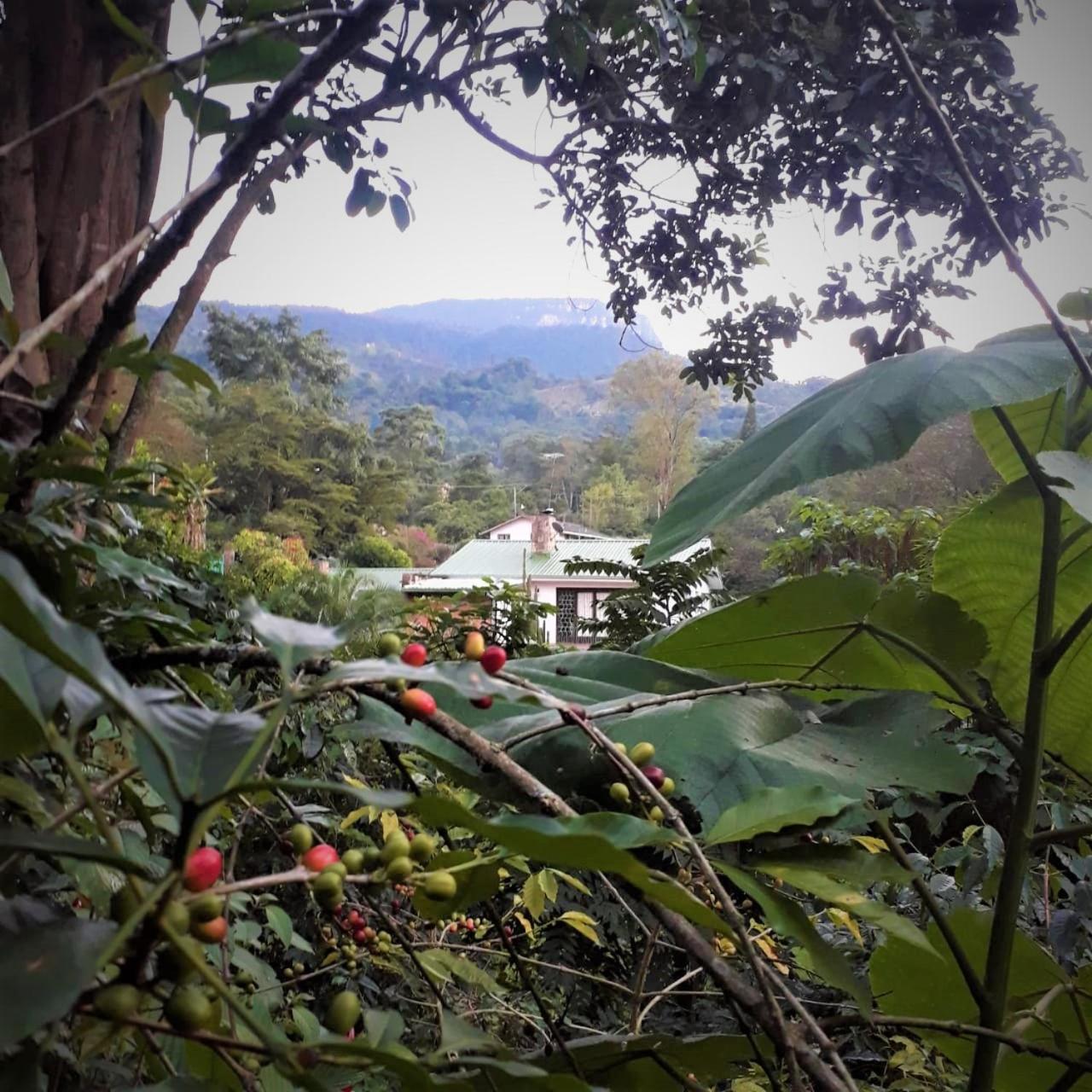 Quiminza - Garden * San Antonio del Tequendama