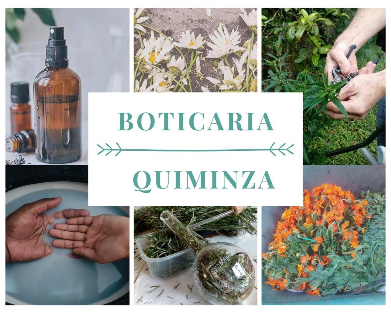 Quiminza - Garden